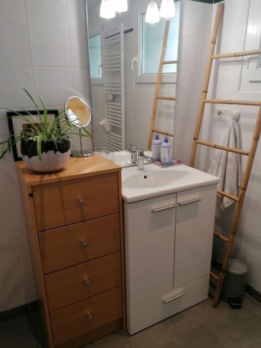 סן-ז'אן-אן-רוייה Balcons Du Royans.Logement Entier Piscine מראה חיצוני תמונה