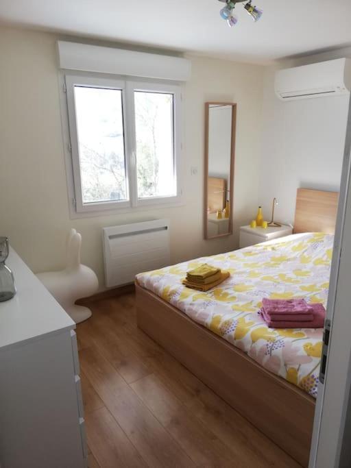 סן-ז'אן-אן-רוייה Balcons Du Royans.Logement Entier Piscine מראה חיצוני תמונה